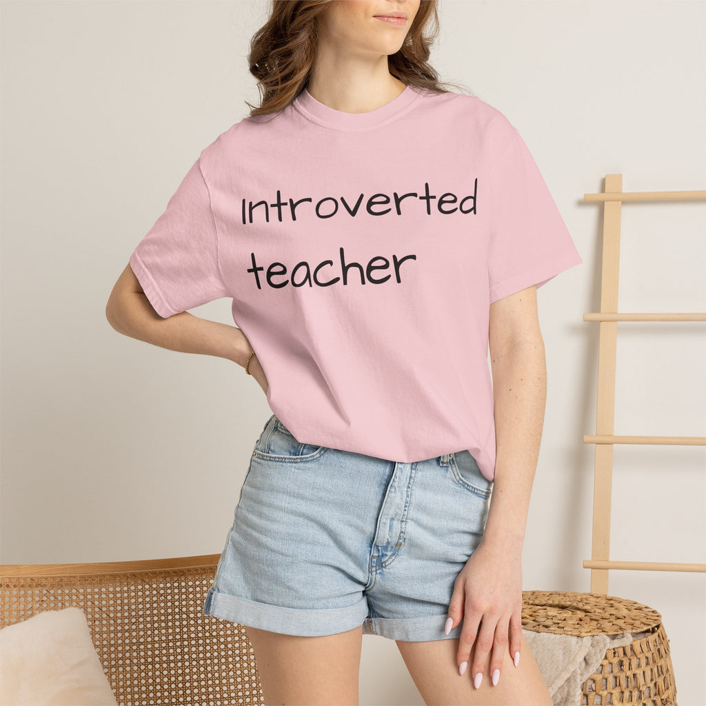 Introverted Teacher T-Shirt — Minimalist Teacher Gift